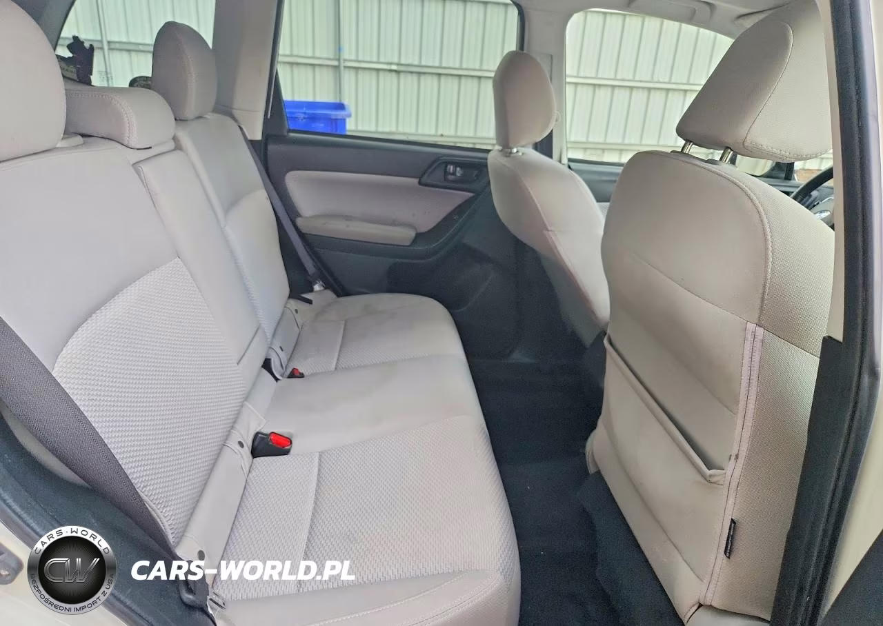 2017 Subaru Forester 2.5I Premium VIN:JF2SJAEC9HH530383 - 10