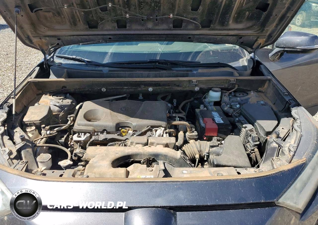 2019 Toyota Rav4 Xle VIN:JTMW1RFV9KJ011638 - 12