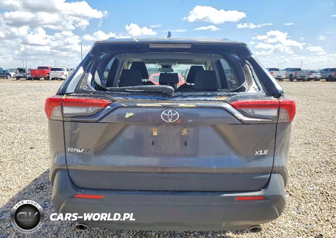 2019 Toyota Rav4 Xle VIN:JTMW1RFV9KJ011638 - 6