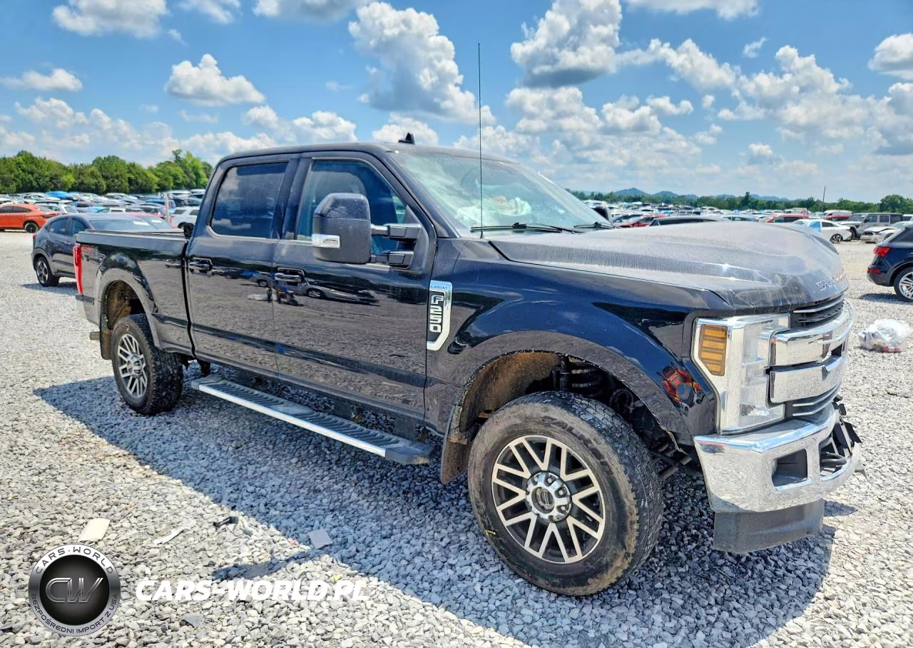 2019 Ford F250 Super Duty VIN:1FT7W2B61KED45747 - 4