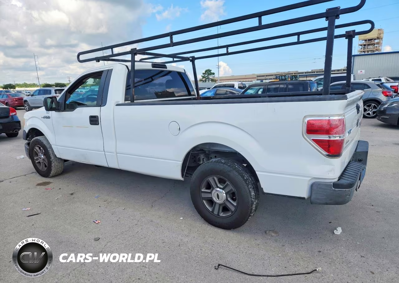2009 Ford F150 VIN:1FTRF12W19KB51119 - 2