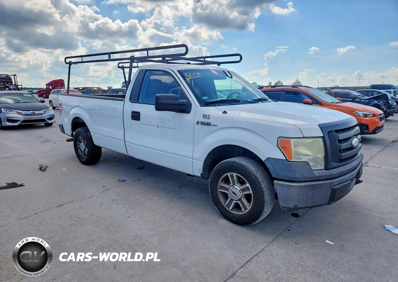 2009 Ford F150 VIN:1FTRF12W19KB51119 - 4