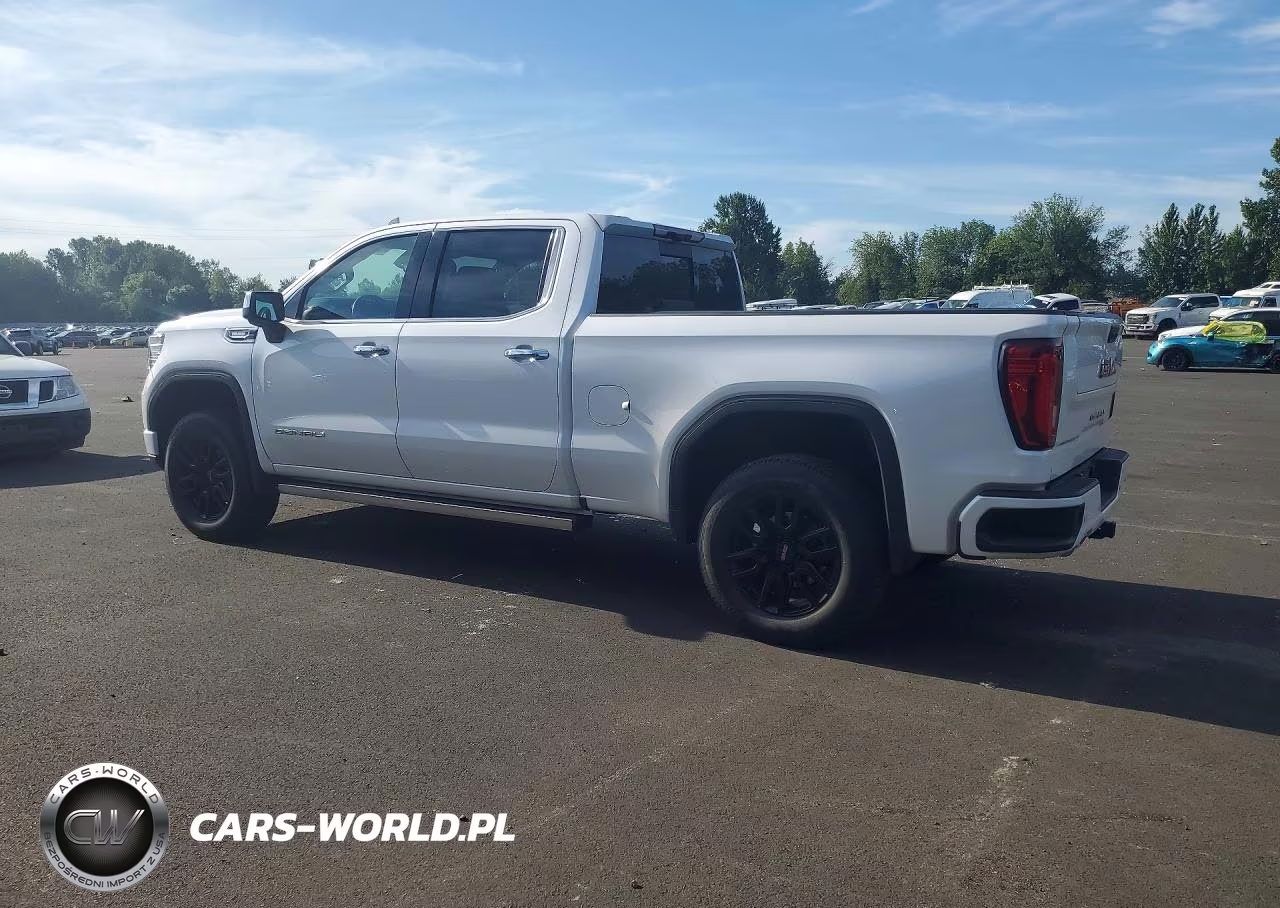 2023 GMC Sierra K1500 Denali VIN:3GTUUGE84PG300157 - 2