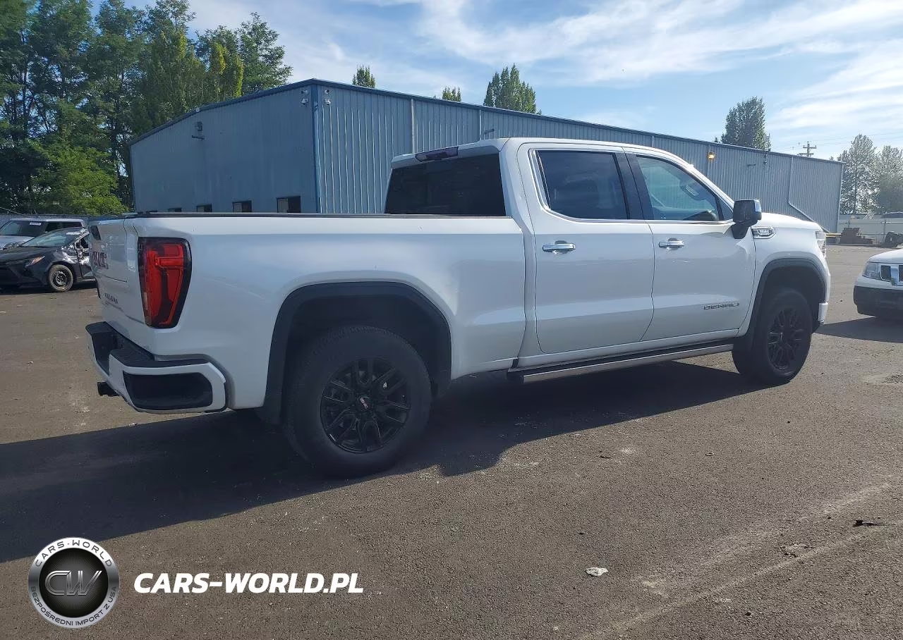 2023 GMC Sierra K1500 Denali VIN:3GTUUGE84PG300157 - 3