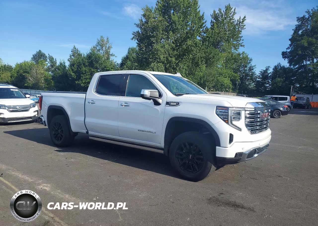 2023 GMC Sierra K1500 Denali VIN:3GTUUGE84PG300157 - 4