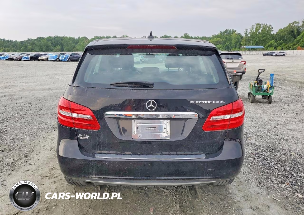 2014 Mercedes-Benz B Electric VIN:WDDVP9AB2EJ003477 - 6