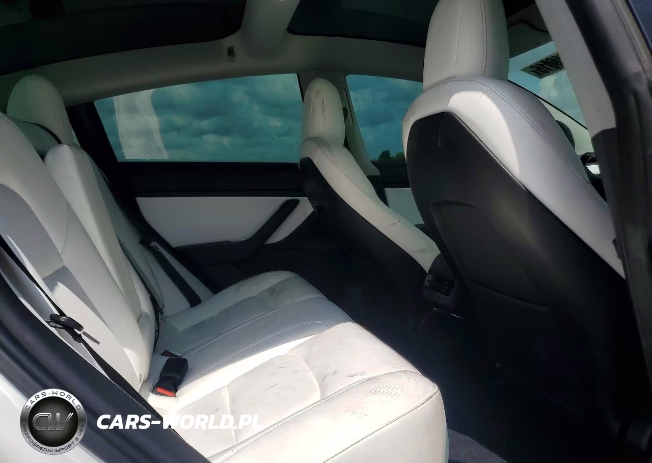2020 Tesla Model 3 VIN:5YJ3E1EA8LF509619 - 10