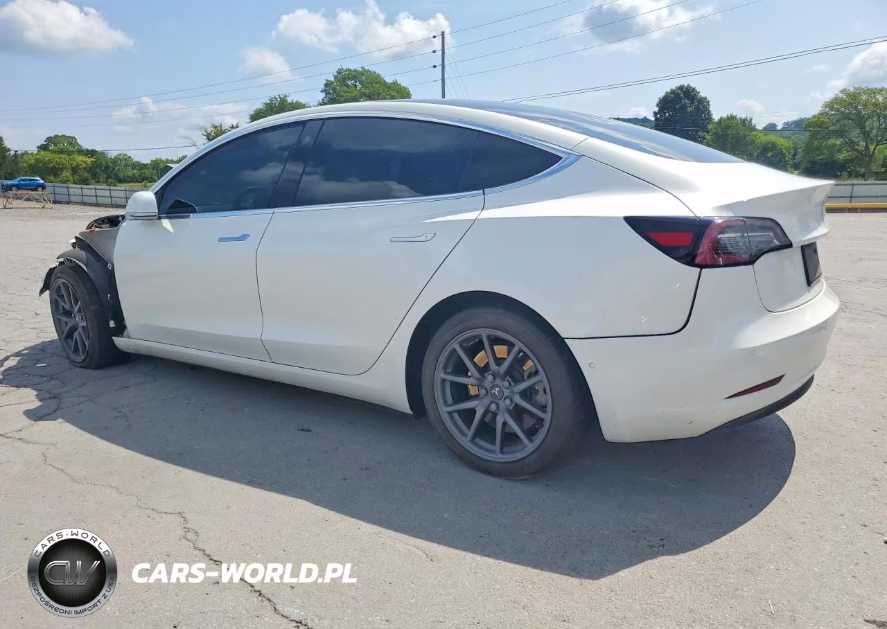 2020 Tesla Model 3 VIN:5YJ3E1EA8LF509619 - 2