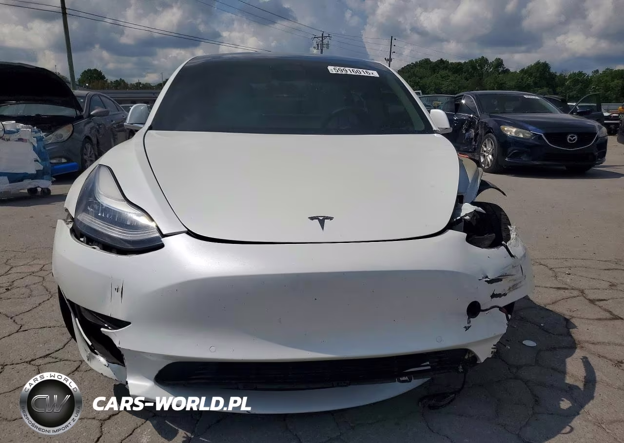 2020 Tesla Model 3 VIN:5YJ3E1EA8LF509619 - 5