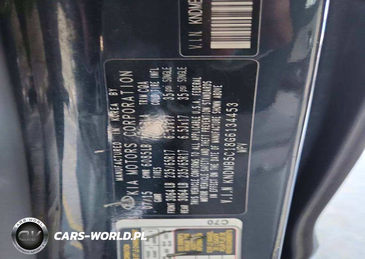 2016 Kia Sedona Lx VIN:KNDMB5C18G6134453 - 12