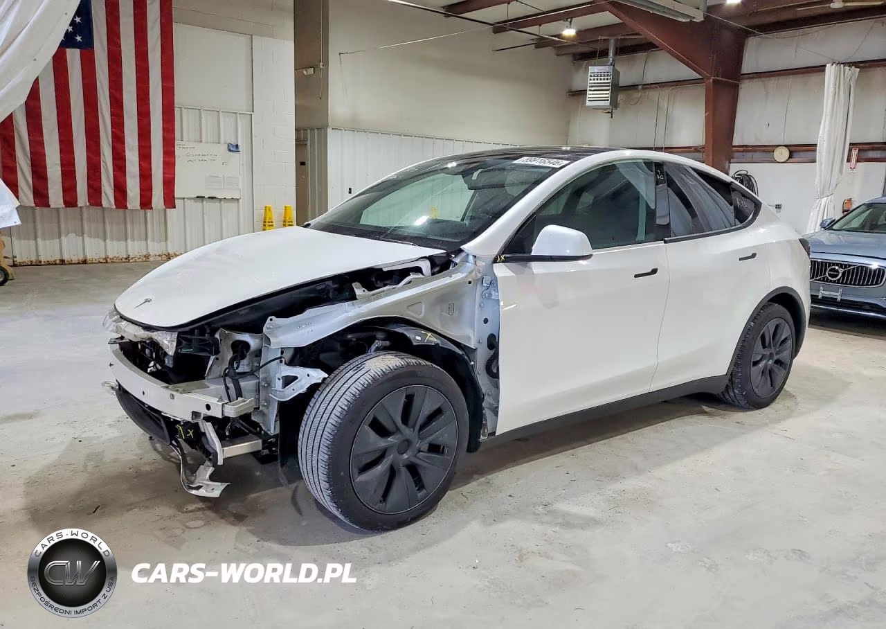 2025 Tesla Model Y VIN:7SAYGDED1SF231739 - 1