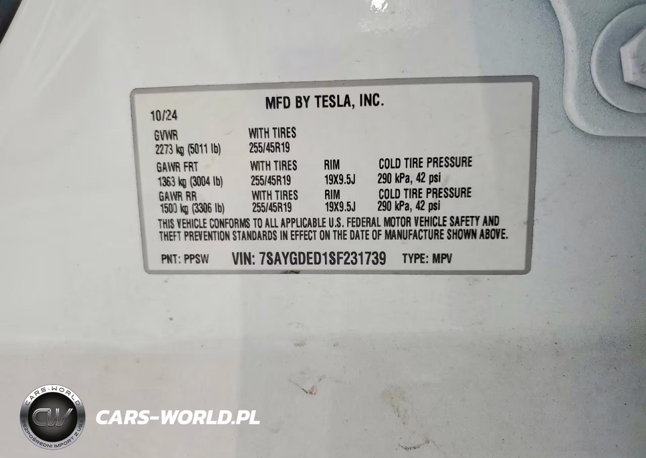 2025 Tesla Model Y VIN:7SAYGDED1SF231739 - 13