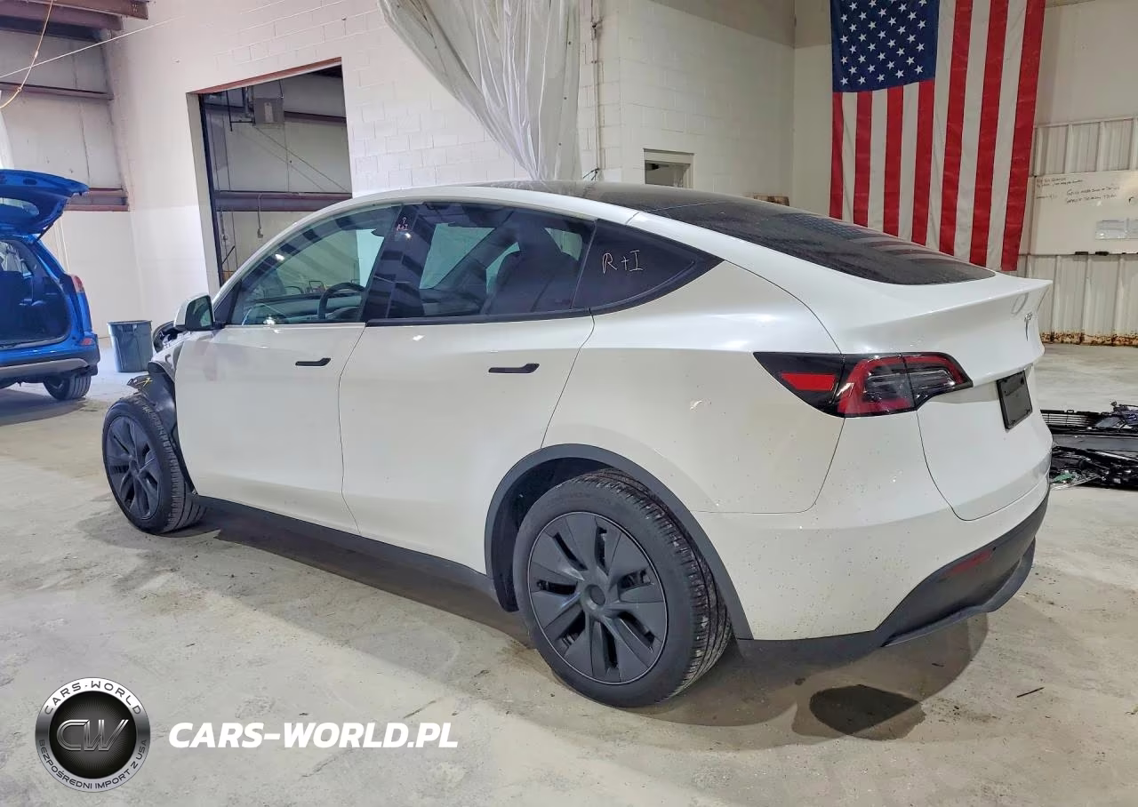2025 Tesla Model Y VIN:7SAYGDED1SF231739 - 2
