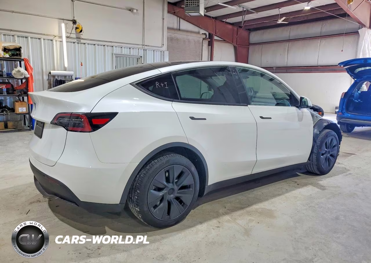 2025 Tesla Model Y VIN:7SAYGDED1SF231739 - 3