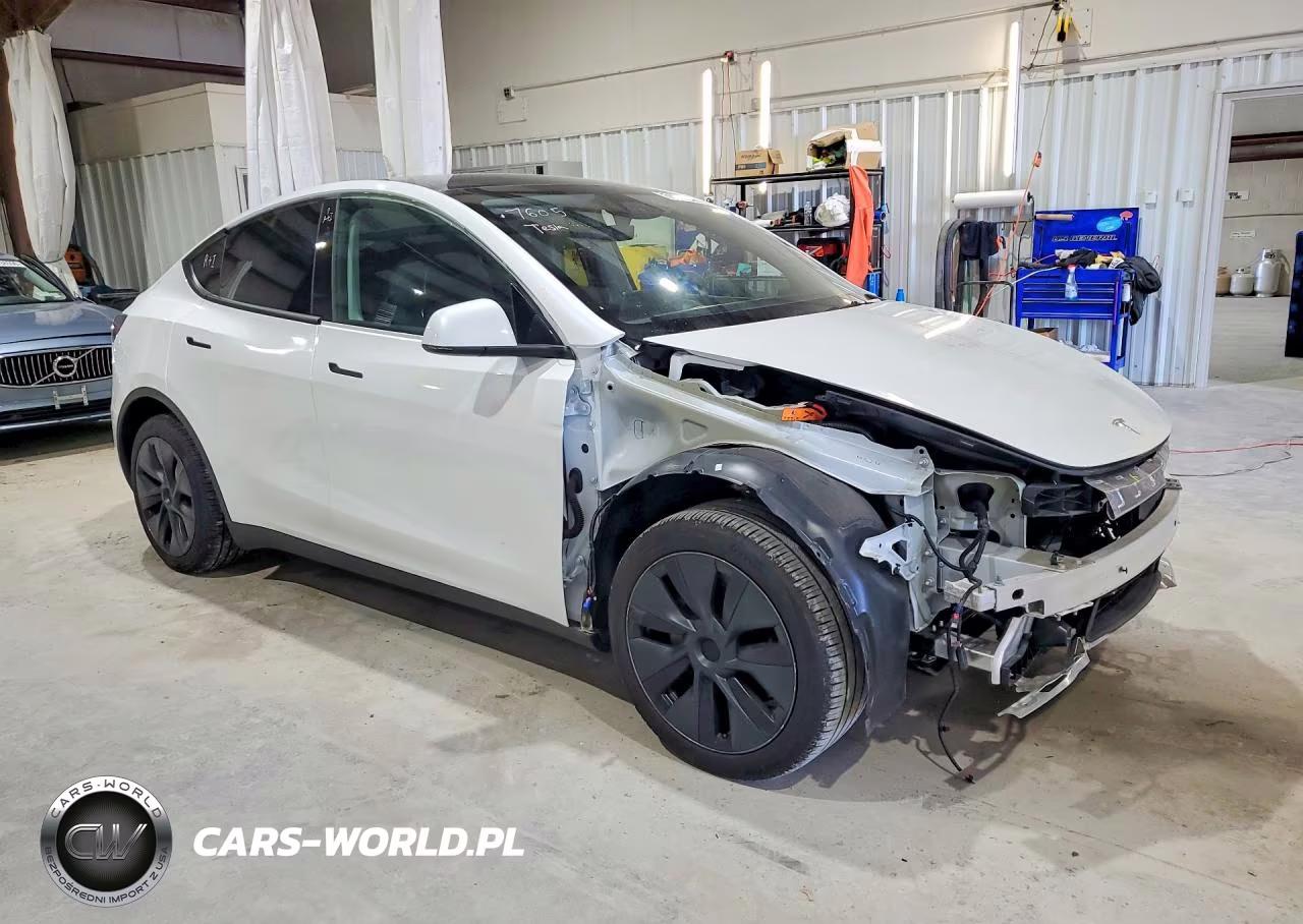 2025 Tesla Model Y VIN:7SAYGDED1SF231739 - 4