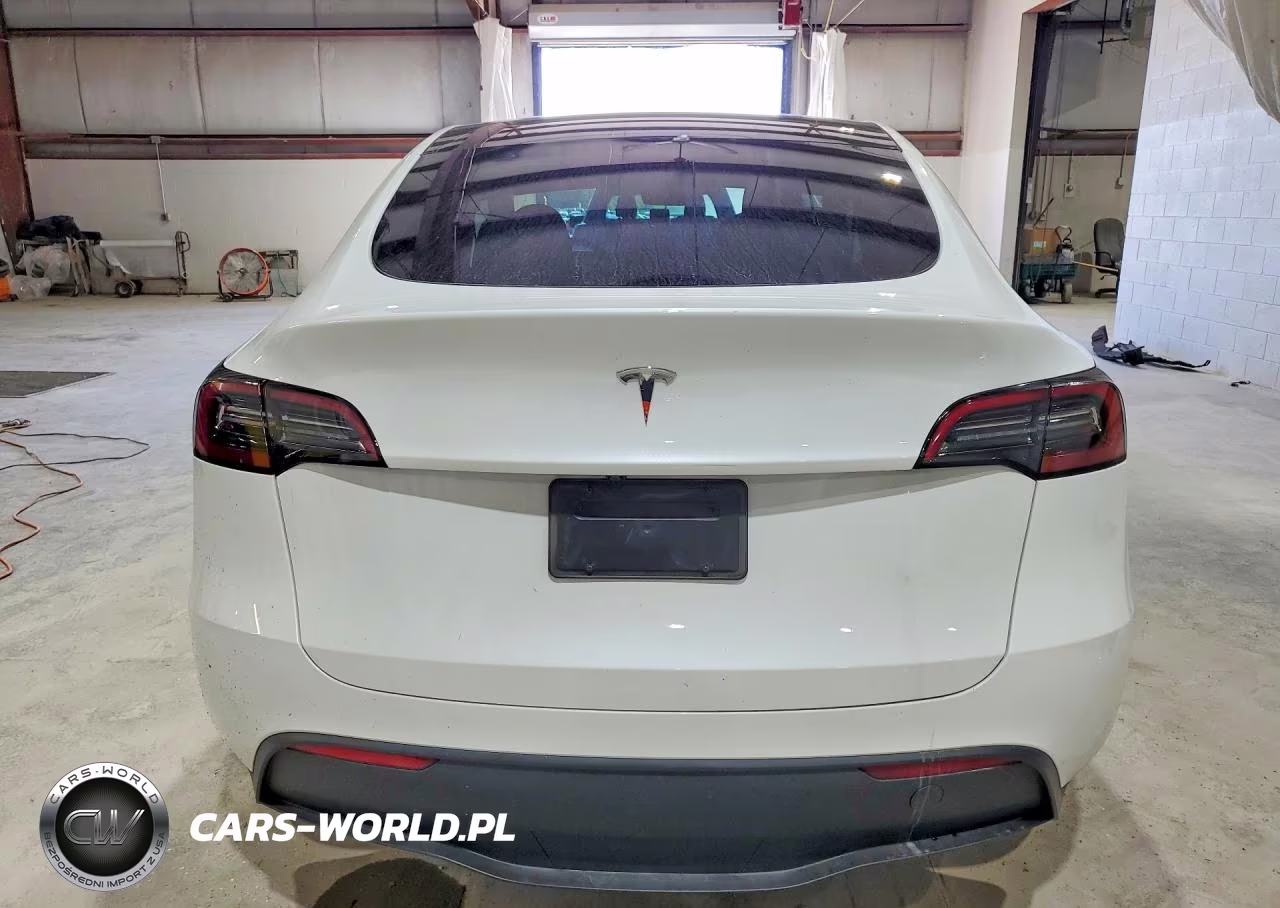 2025 Tesla Model Y VIN:7SAYGDED1SF231739 - 6