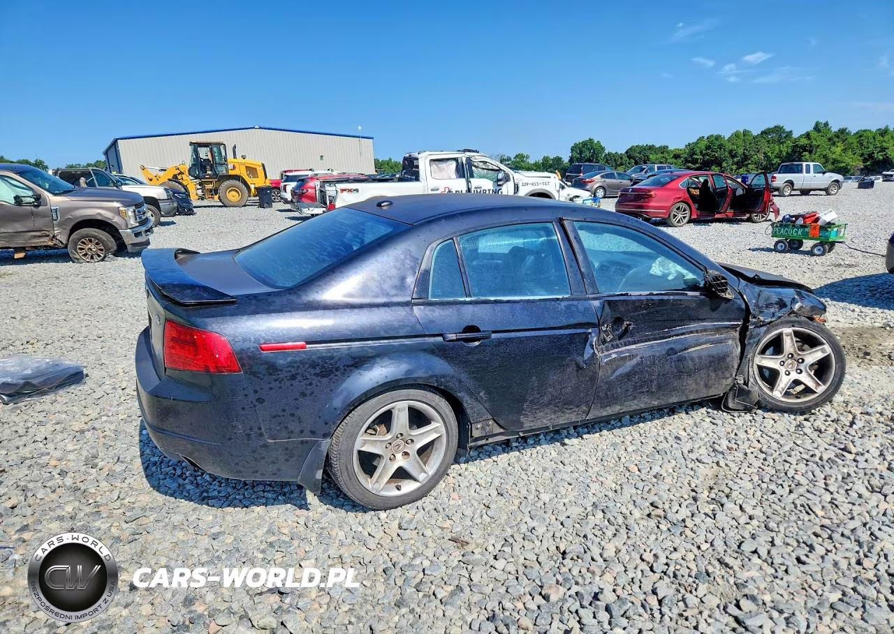 2004 Acura Tl VIN:19UUA66284A045909 - 3
