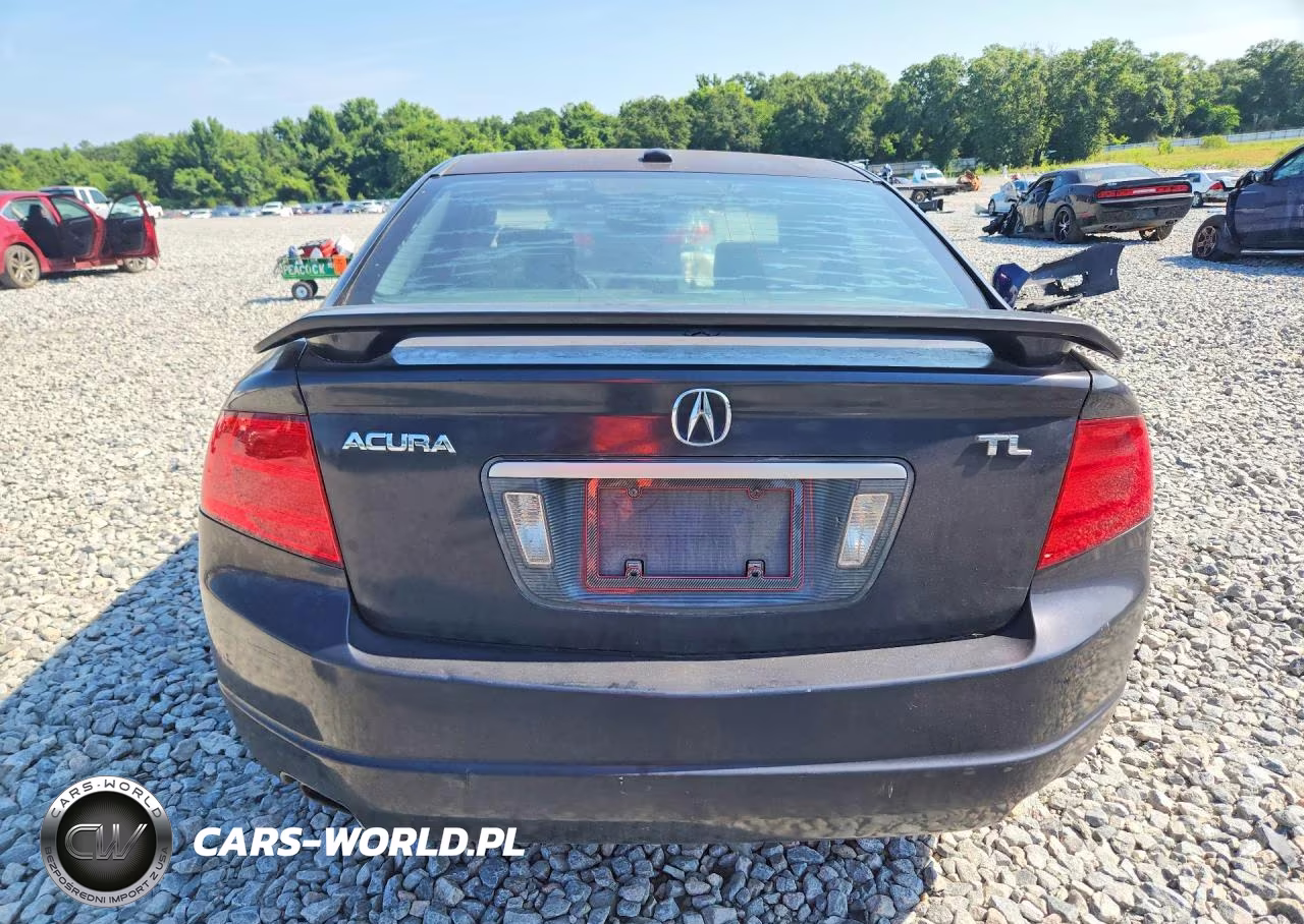 2004 Acura Tl VIN:19UUA66284A045909 - 6