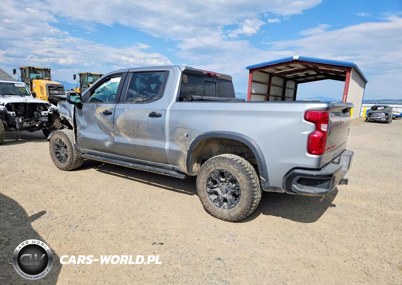 2023 Chevrolet Silverado K1500 Zr2 VIN:3GCUDHEL7PG205523 - 2