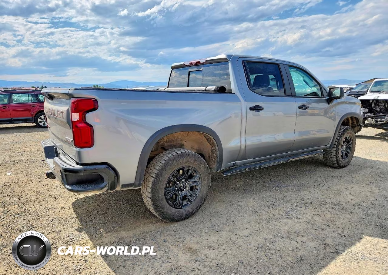 2023 Chevrolet Silverado K1500 Zr2 VIN:3GCUDHEL7PG205523 - 3