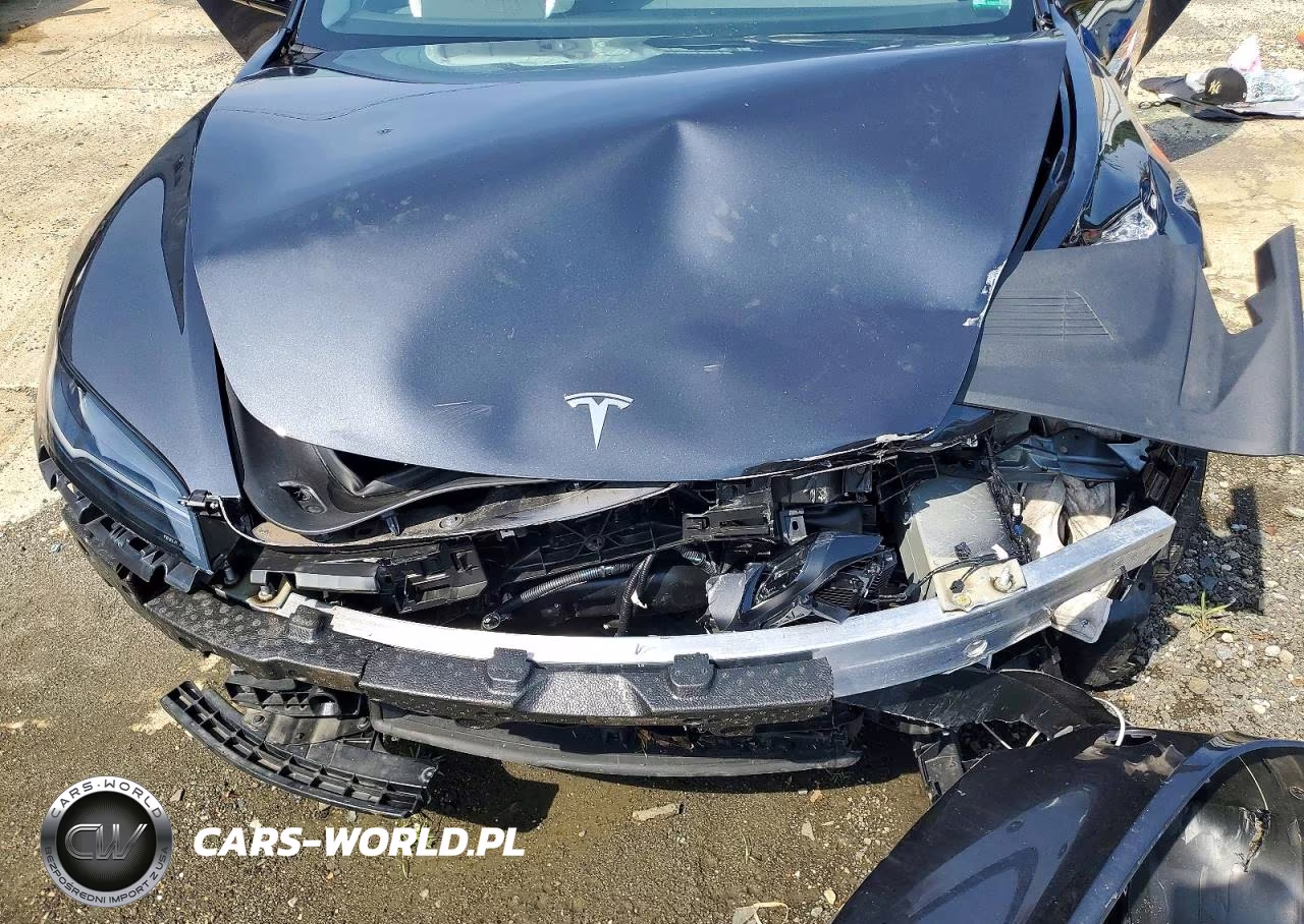 2025 Tesla Model 3 VIN:5YJ3E1EA9SF027806 - 11