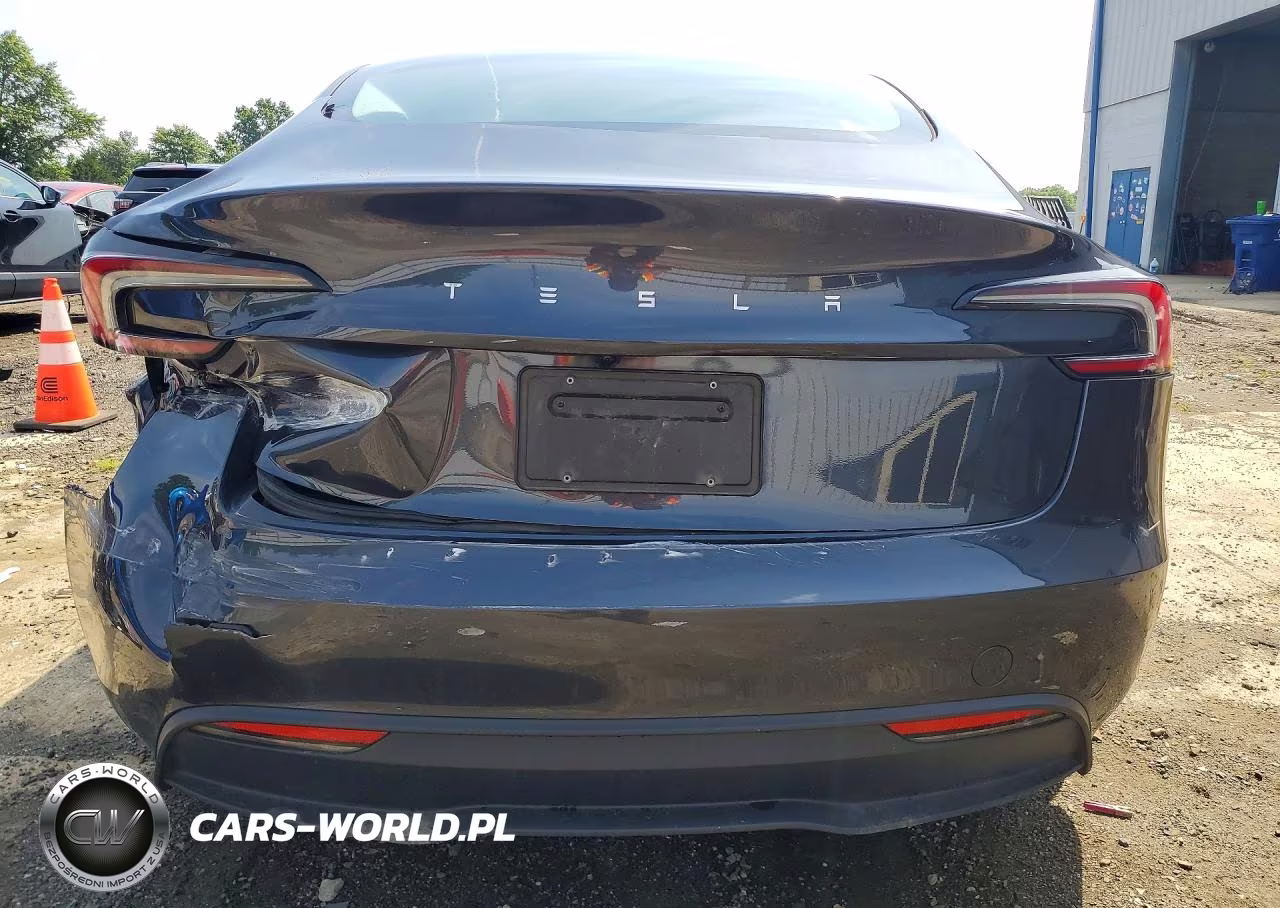 2025 Tesla Model 3 VIN:5YJ3E1EA9SF027806 - 6