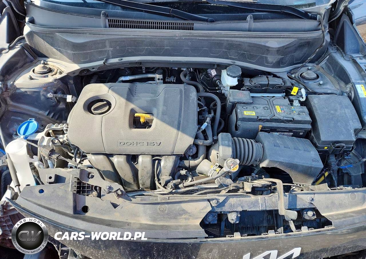 2024 Kia Seltos Ex VIN:KNDERCAA5R7510515 - 12