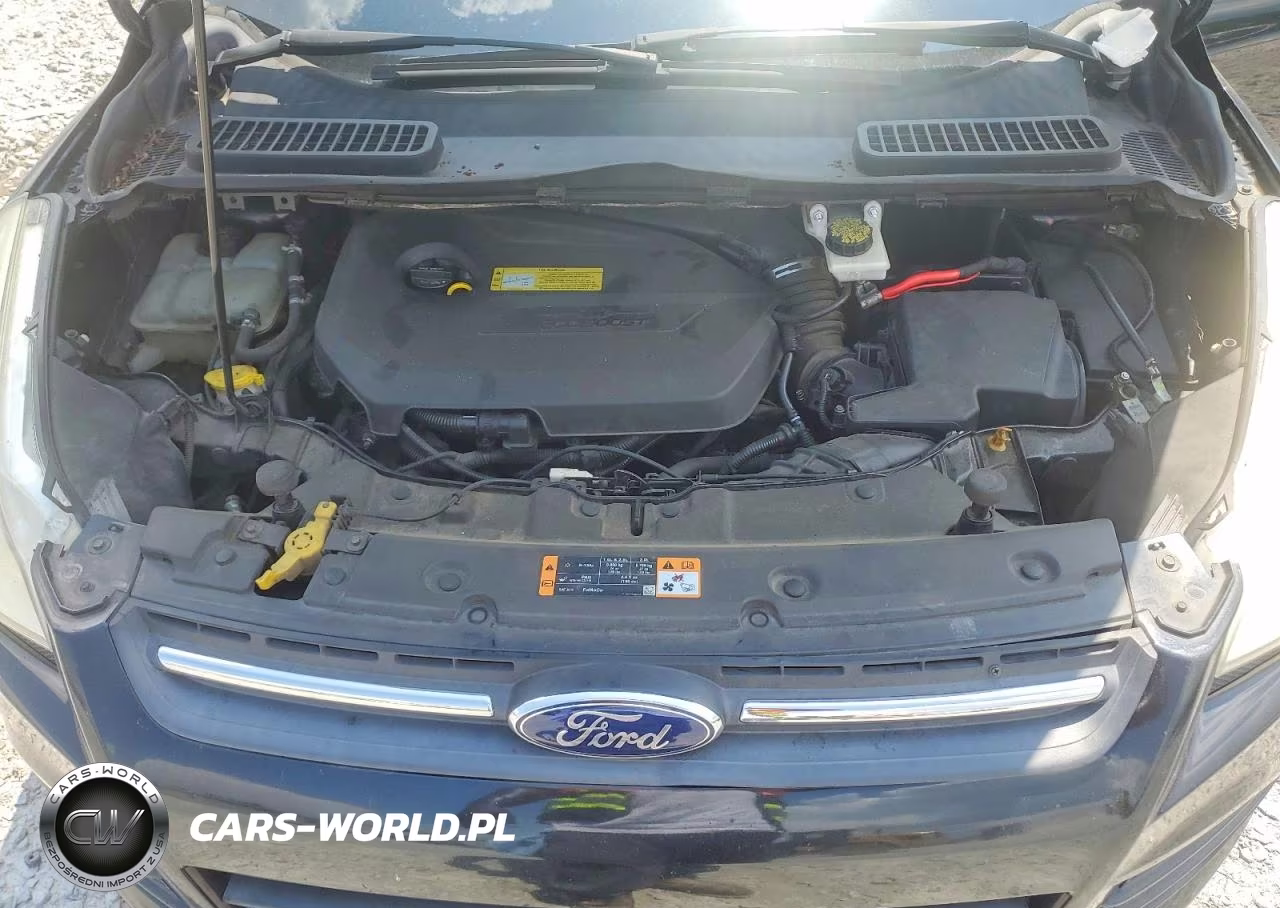 2014 Ford Escape Se VIN:1FMCU0GX1EUB48948 - 12
