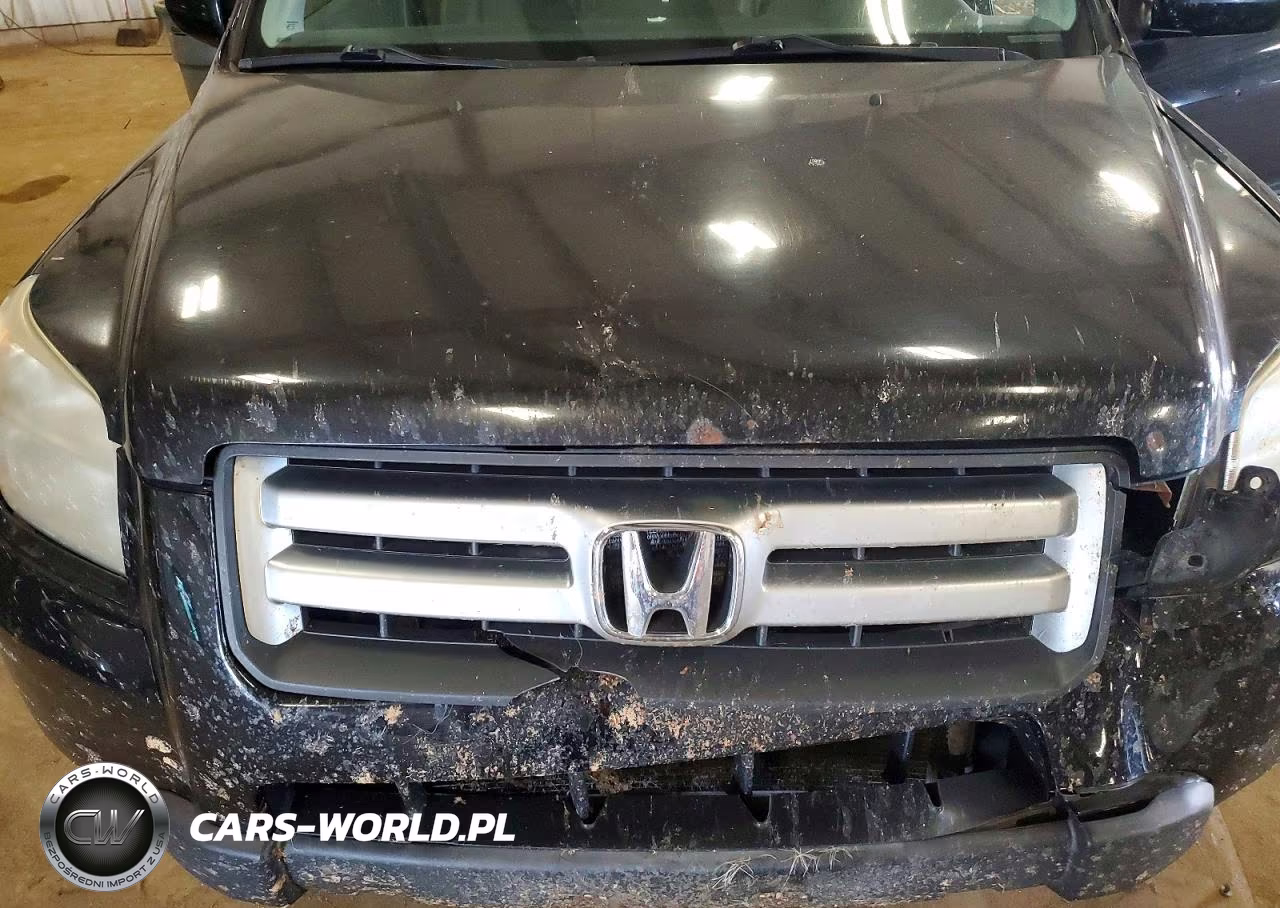 2008 Honda Pilot Exl VIN:5FNYF185X8B005906 - 11