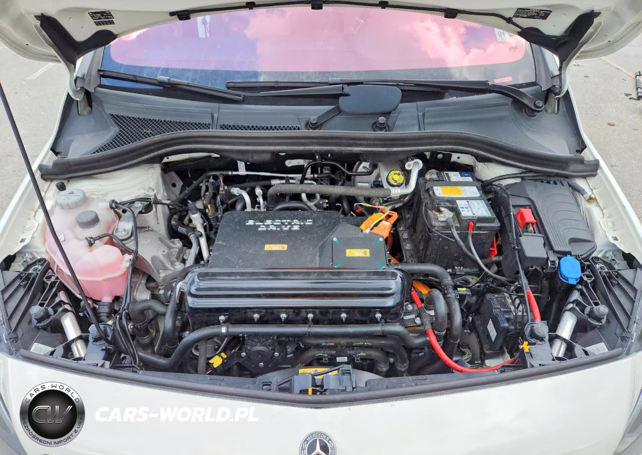 2017 Mercedes-Benz B 250E VIN:WDDVP9ABXHJ015686 - 11