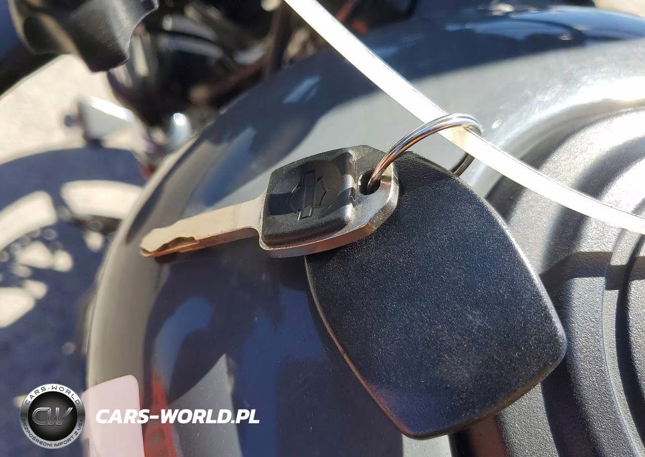 2022 Harley-Davidson Rh975 VIN:1HD1ZH125NB326900 - 8