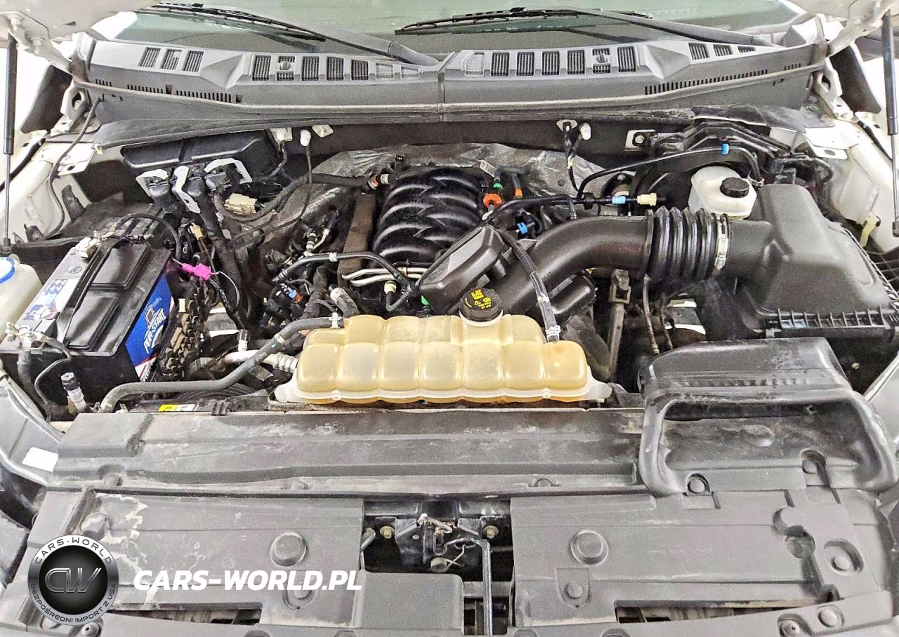 2019 Ford F150 Supercrew VIN:1FTFW1E53KKE69206 - 11
