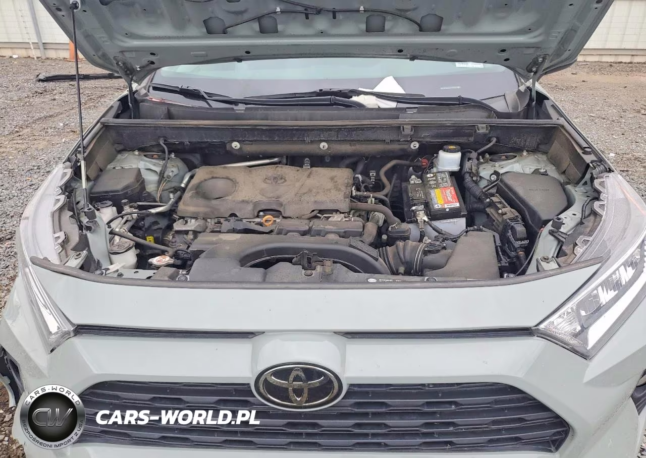 2019 Toyota Rav4 Xle VIN:2T3P1RFV2KC029213 - 12