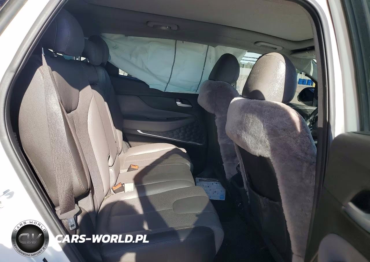 2019 Hyundai Santa Fe Ultimate 2.0T VIN:5NMS53AA0KH043517 - 11