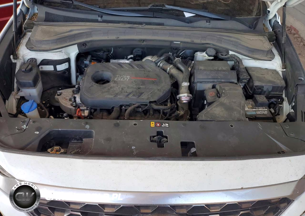 2019 Hyundai Santa Fe Ultimate 2.0T VIN:5NMS53AA0KH043517 - 12