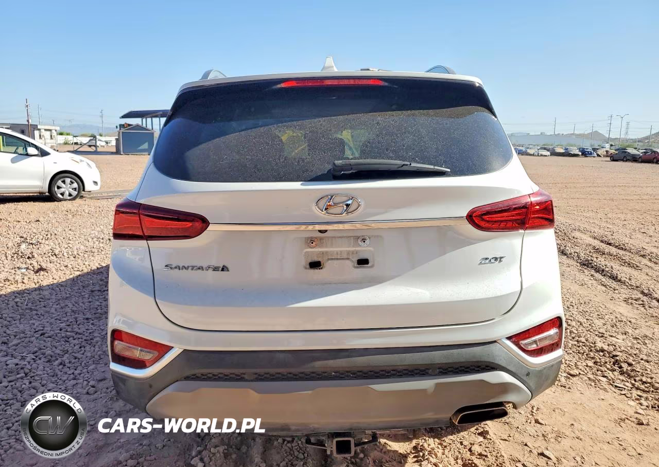 2019 Hyundai Santa Fe Ultimate 2.0T VIN:5NMS53AA0KH043517 - 6