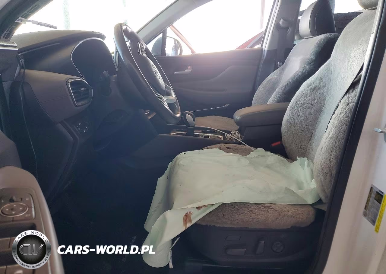 2019 Hyundai Santa Fe Ultimate 2.0T VIN:5NMS53AA0KH043517 - 7
