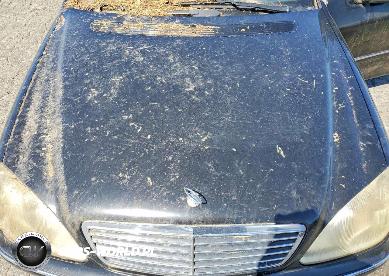 2000 Mercedes-Benz S 430 VIN:WDBNG70J4YA091071 - 11