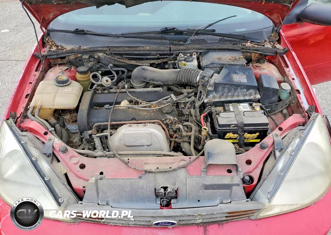 2004 Ford Focus VIN:1FAFP343X1W230211 - 11