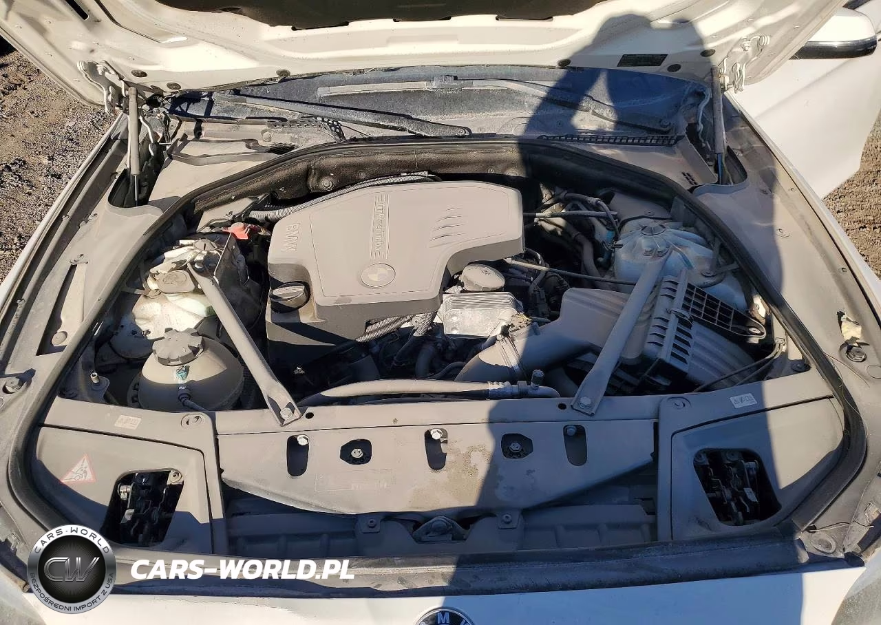 2015 BMW 528 I VIN:WBA5A5C59FD517187 - 12