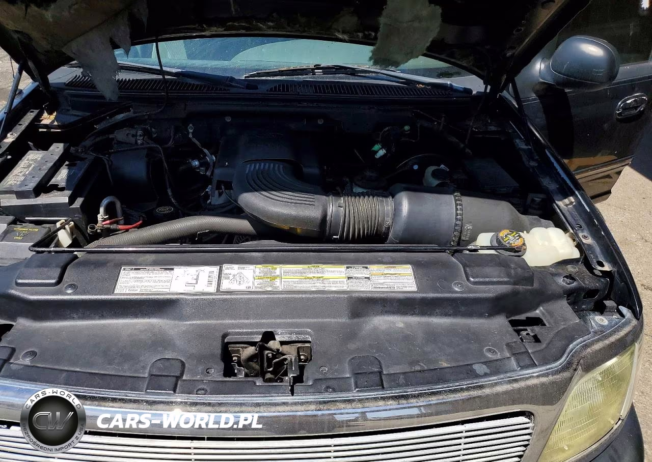 1999 Ford Expedition VIN:1FMRU1860XLB84841 - 11