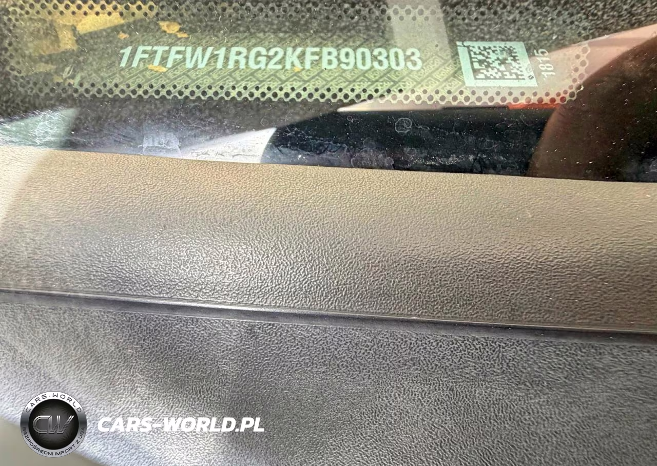 2019 Ford F150 Raptor VIN:1FTFW1RG2KFB90303 - 10