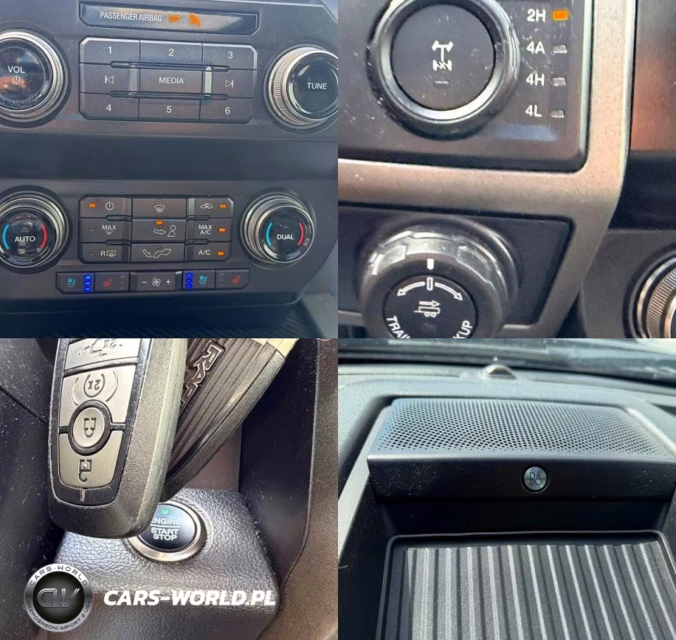2019 Ford F150 Raptor VIN:1FTFW1RG2KFB90303 - 13