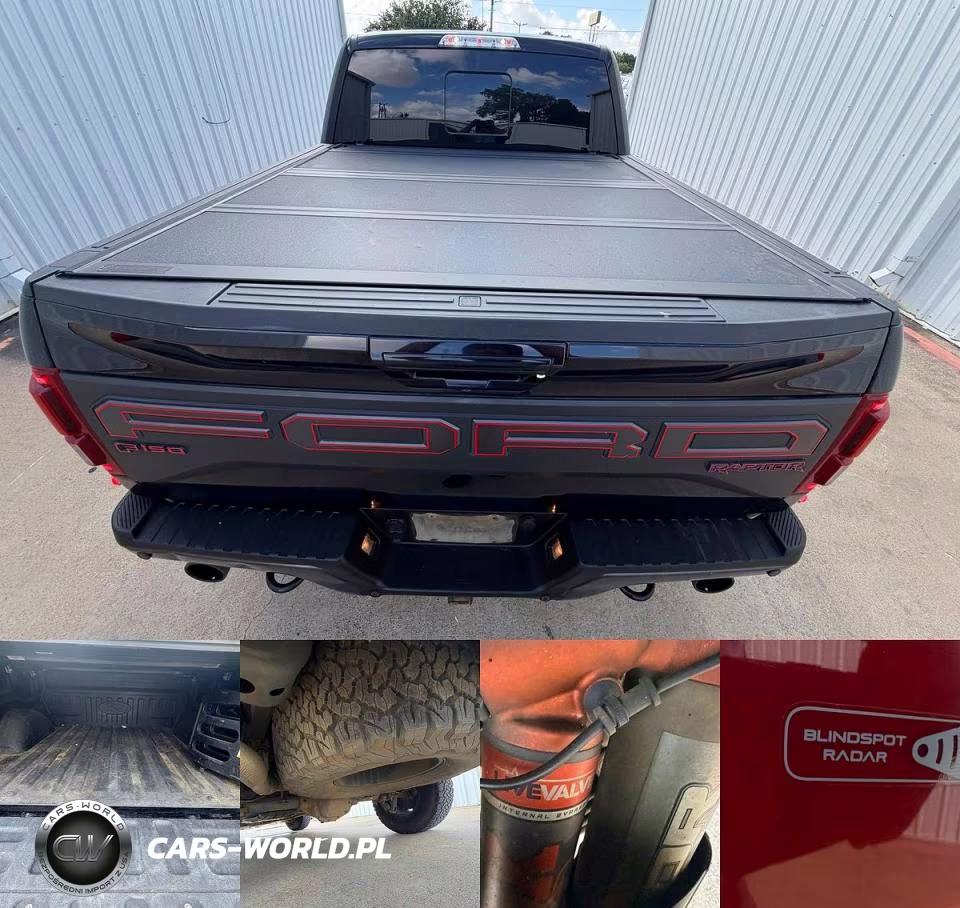 2019 Ford F150 Raptor VIN:1FTFW1RG2KFB90303 - 15