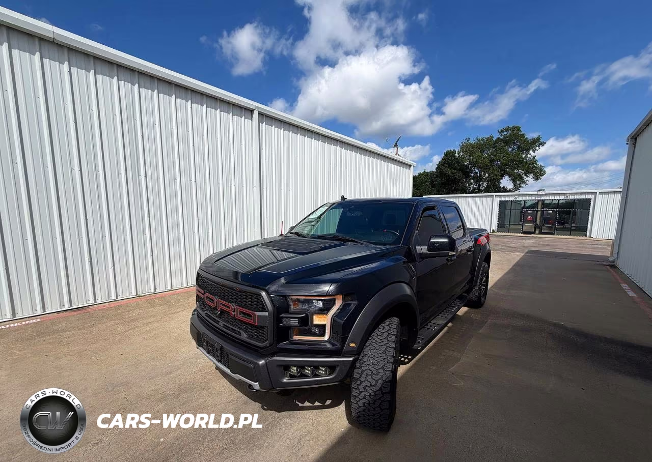2019 Ford F150 Raptor VIN:1FTFW1RG2KFB90303 - 2