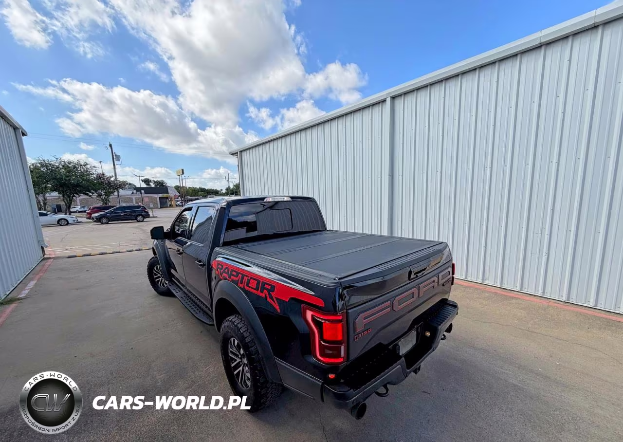 2019 Ford F150 Raptor VIN:1FTFW1RG2KFB90303 - 3