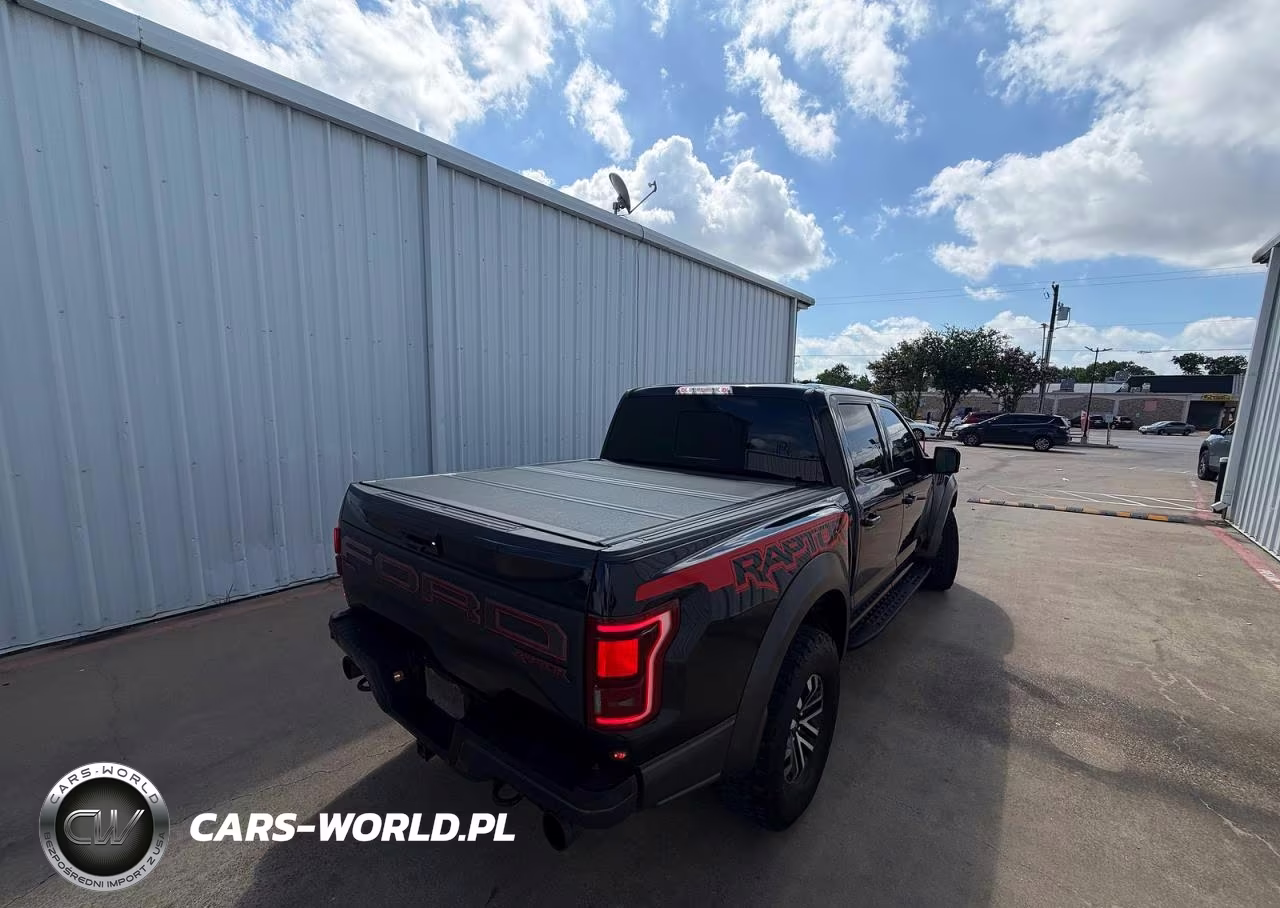 2019 Ford F150 Raptor VIN:1FTFW1RG2KFB90303 - 4