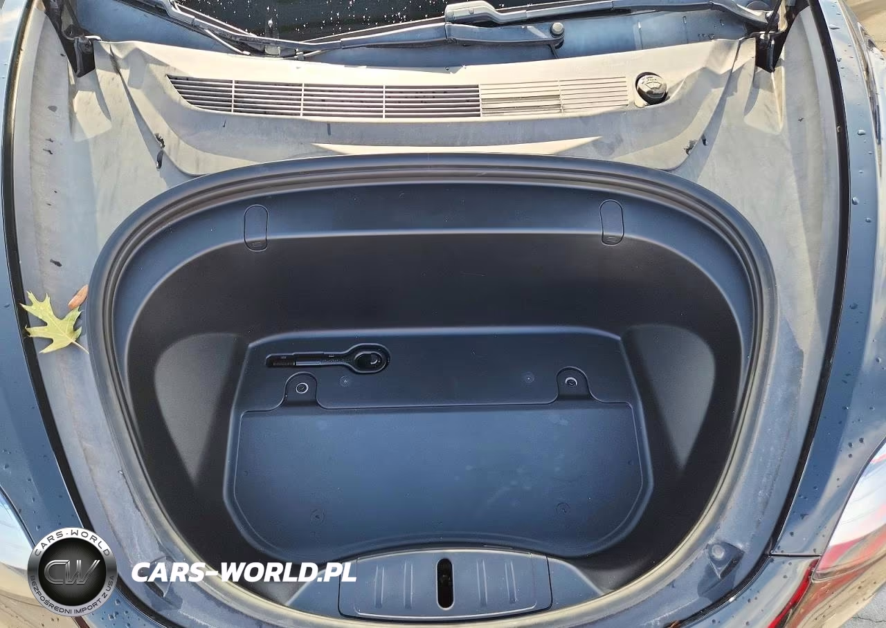 2019 Tesla Model 3 VIN:5YJ3E1EA9KF296341 - 11