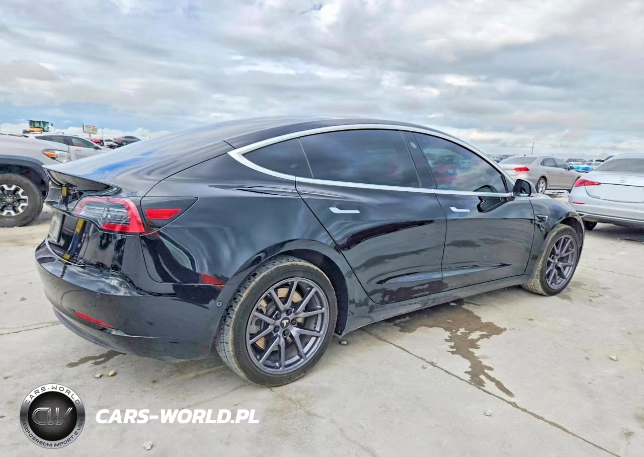 2019 Tesla Model 3 VIN:5YJ3E1EA9KF296341 - 3