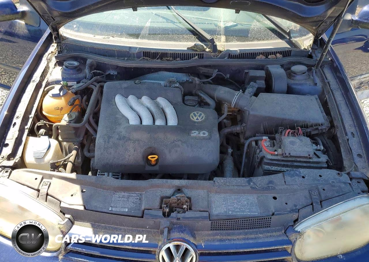 2002 Volkswagen Golf Gls VIN:9BWGB61J124071356 - 12